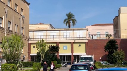 L'aggressione al Cervello, "vivo per tre centimetri"