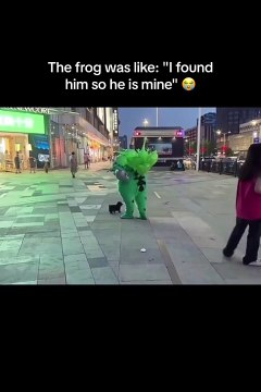 a capture moment with animals