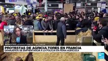 Informe desde París: granjeros franceses protestan en medio del Salón de la Agricultura