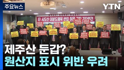 제주산 둔갑?...타 지역 돼지고기 반입 확대에 '우려' / YTN