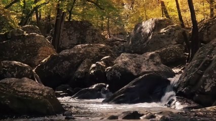 Mistake Narcissists made again and again.