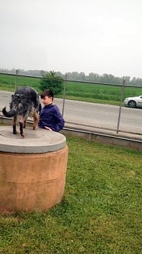 Il mio cagnone Dobby con mio nipote Martino