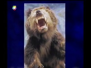 Criptozoología- Javier Sierra - El Otro Lado de la Realidad