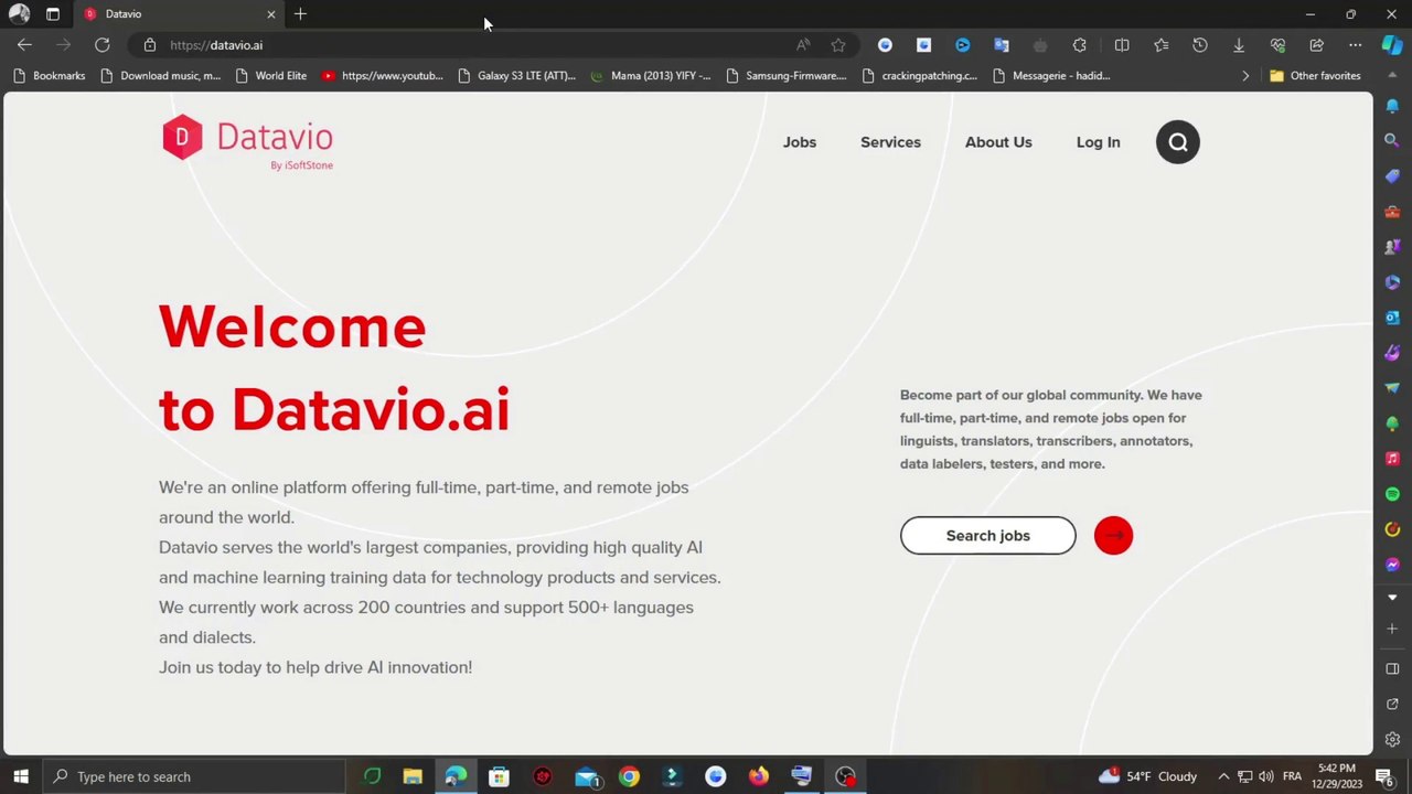 إربح 50 دولار يوميا | شرح موقع datavio | العمل من المنزل 2024