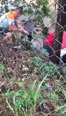 Niño cae a canal de desague