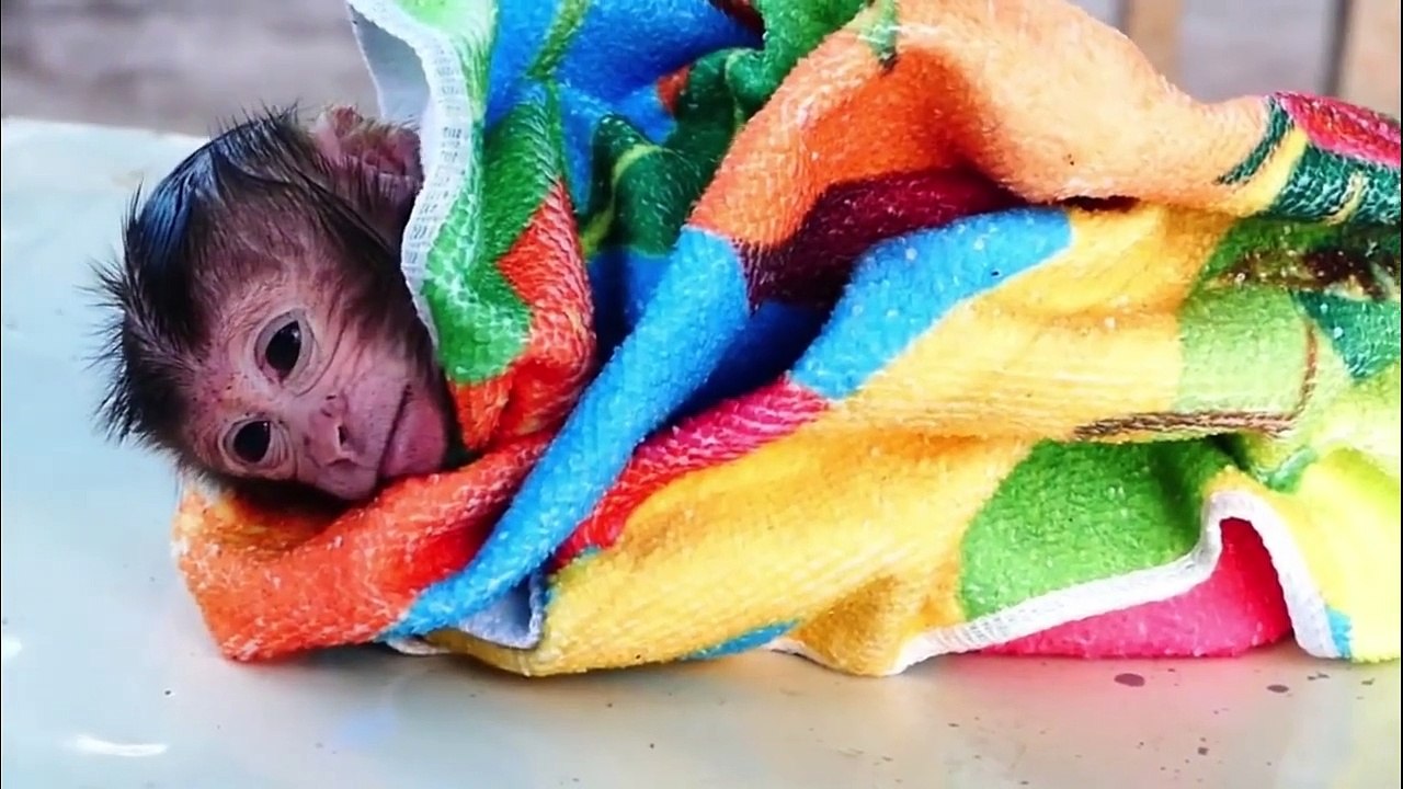 Temporary saving and rescuing newborn baby, that mother rejects as baby (720p_25fps_H264-192kbit_AAC)