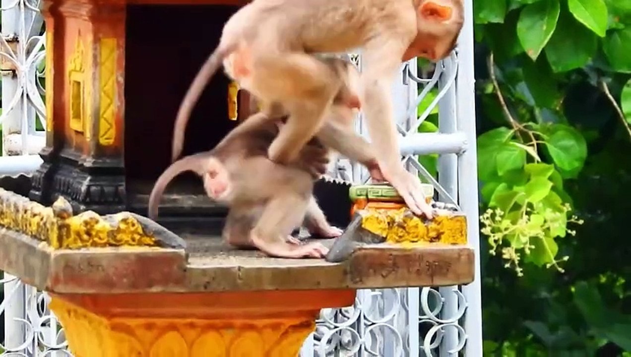 Sweetie SARO Baby Is Playing With Brother BEAN  Make to Hurt  and Shaking (720p_25fps_H264-192kbit_AAC)
