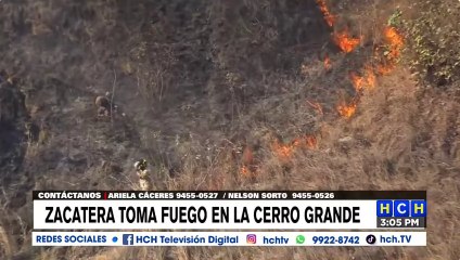 Incendio consume zacatera en la col. Cerro Grande