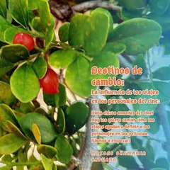 Moises Shemaria Capuano| Destinos de cambio (parte 1)