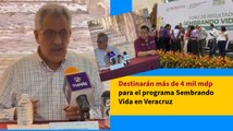 Destinarán más de 4 mil mdp para el programa Sembrando Vida en Veracruz