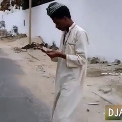 Laugh Out Loud: Unexpected Animal Antics