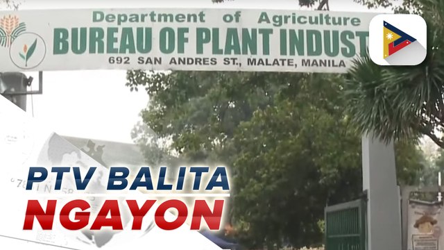 BPI, itinangging talamak ang pagpasok ng smuggled na sibuyas mula Holland sa CDO