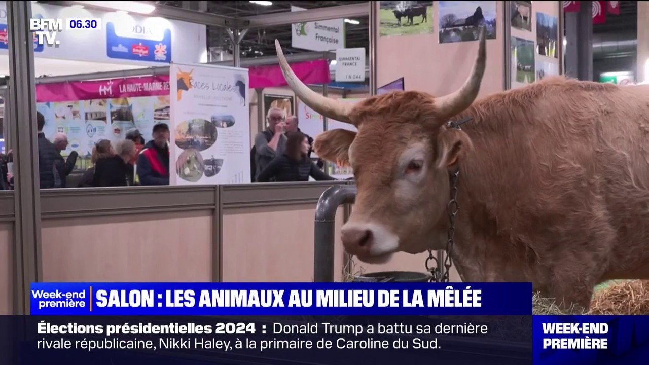 Débordements au Salon de l'agriculture: les ani...