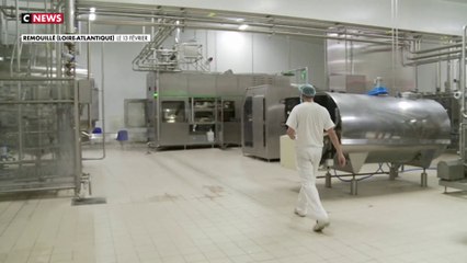 Des prix planchers pour le lait