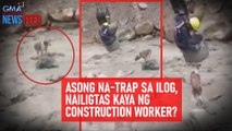 Asong na-trap sa ilog, nailigtas kaya ng construction worker? | GMA Integrated Newsfeed
