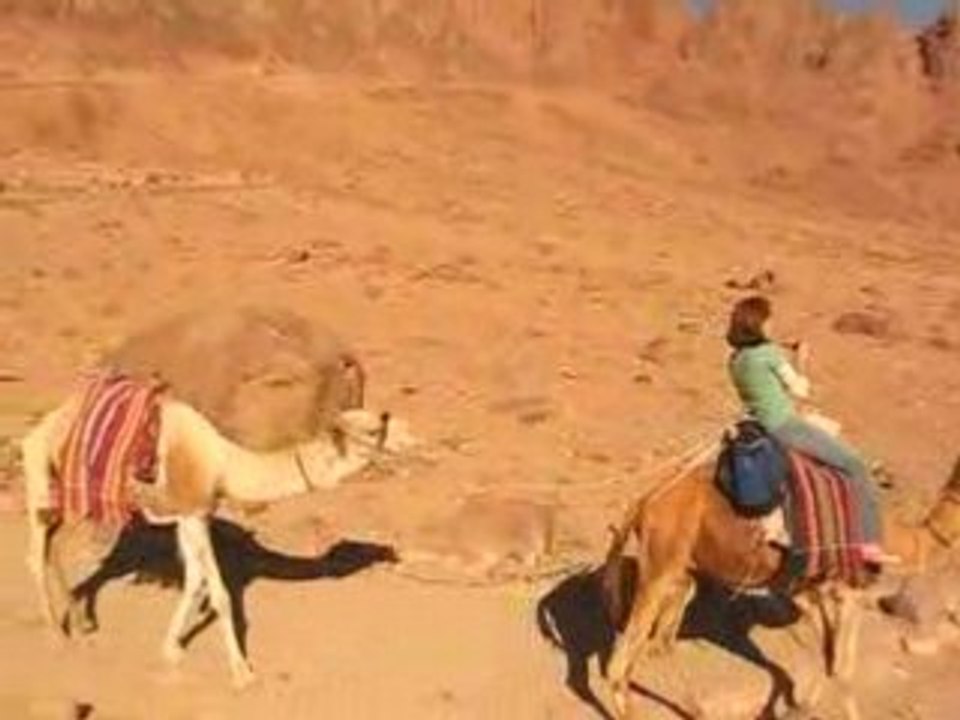 Sinai 3