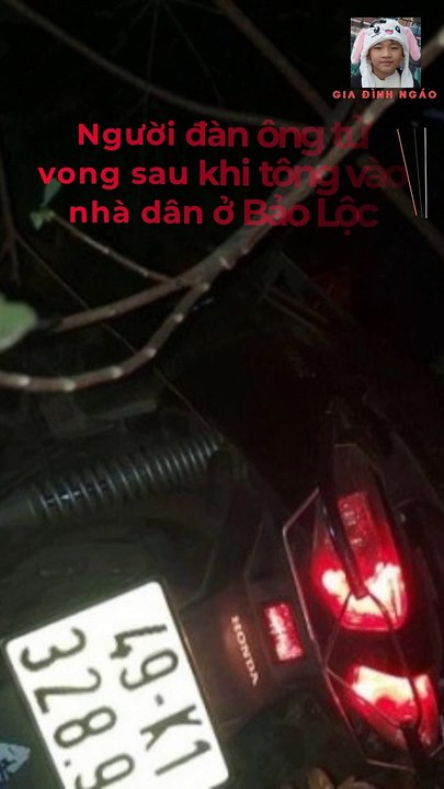 Chạy xe máy ôm cua tông vào nhà dân rồi mắc kẹt giữa thân cây