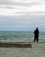 Dog ruins wedding proposal