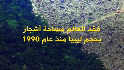 العالم فقد مساحة أشجار بحجم ليبيا منذ عام 1990 معظمها في أفريقيا وأميركا الجنوبية