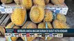 Berburu Aneka Macam Durian Lezat di Sudut Kota Kendari