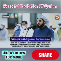 Mesmerizing Quran Recitation  Of Surah Al-Hadid by Raad Mohammad Al Kurdi   #Tilawah #islamic_video #VoiceofQuranSoutAlQuran #Tilawat #foryoupage #quran  #coran #koran #islamicvibes