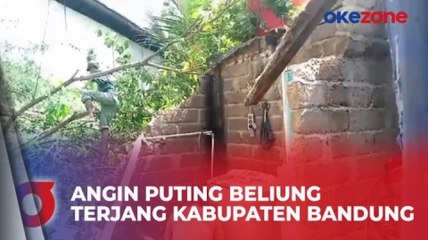 Tembok Gudang Pupuk Roboh, 10 Rumah Warga di Bandar Lampung Rusak Tertimpa Pohon