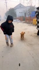 Köpeği ile horon çeken çocuk viral oldu! Sosyal medya bunu paylaşıyor