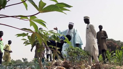 À la frontière du Niger, les Nigérians étouffés par la crise économique et l'insécurité