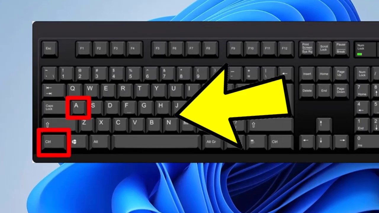 How to Fix (Ctrl A ) , (Ctrl C) and (Ctrl V) Not Working in Windows 11