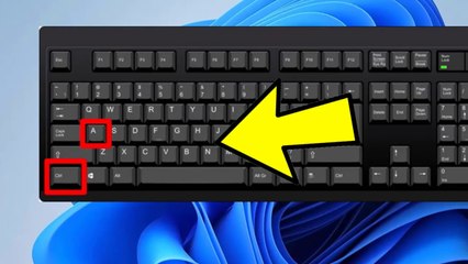 How to Fix (Ctrl A ) , (Ctrl C) and (Ctrl V) Not Working in Windows 11 / 10