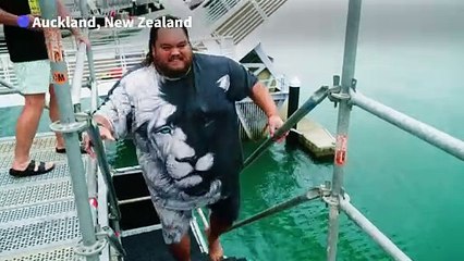 Making a splash: New Zealand holds inaugural divebomb championships