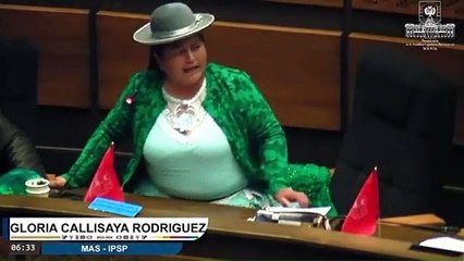 Después de la pelea, la diputada Gloria Calisaya insultó a opositores