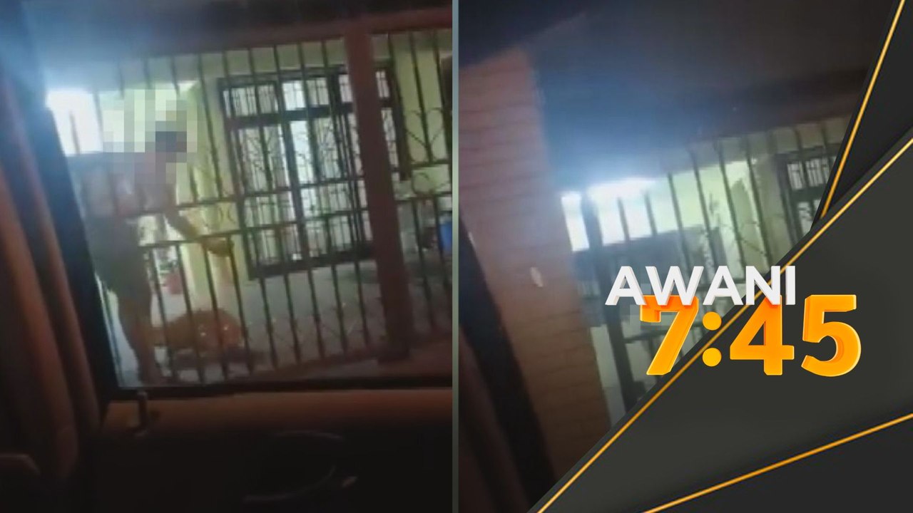 Lelaki rotan, dera anjing disiasat