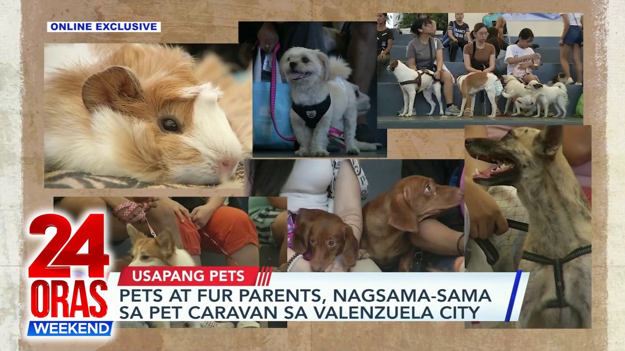 Pets at fur parents, nagsama-sama sa pet caravan sa Valenzuela City | 24 Oras Weekend