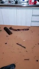 Água invade casa no Paranaguamirim, em Joinville