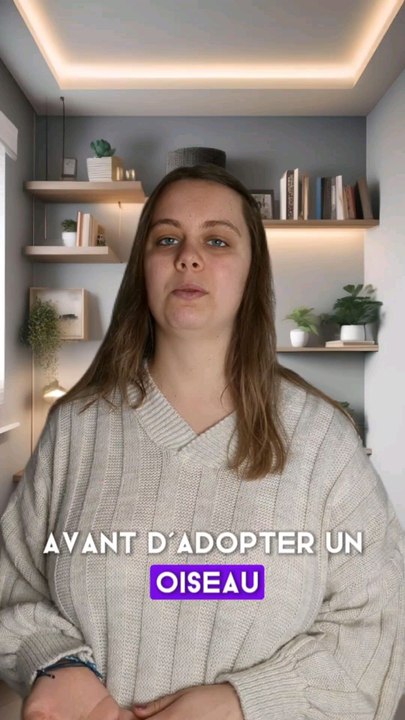 infos à savoir avant d'adopter un oiseau