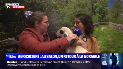 Un retour à la normale et une ambiance plus détendue au Salon de l'agriculture