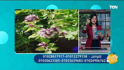 أهمها التخسيس وعلاج تكيس المبايض.. تعرف على فوائد البردقوش المذهلة