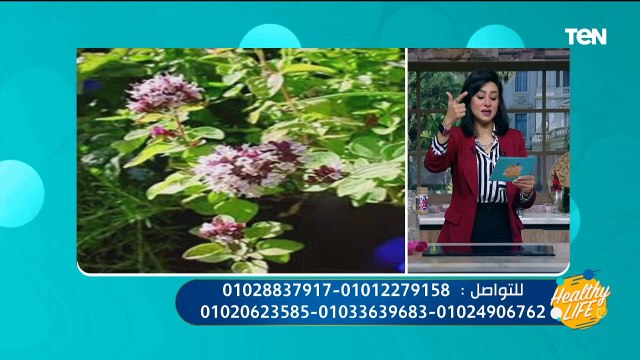 أهمها التخسيس وعلاج تكيس المبايض.. تعرف على فوائد البردقوش المذهلة