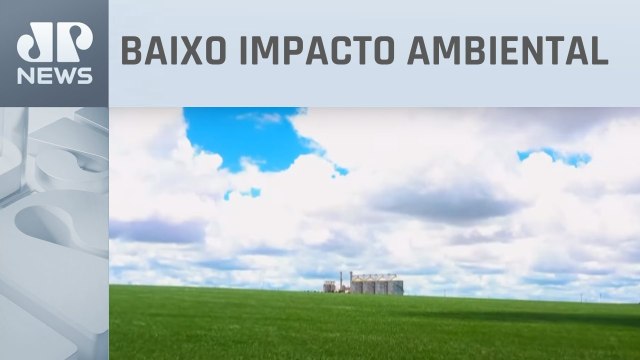 Uso de biodefensivos eleva produção, reduz custos e são aposta de produtores rurais