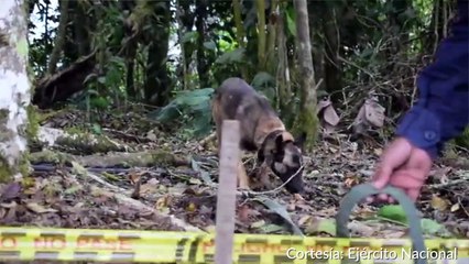 Desminado en 18-09-18 🚧