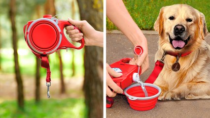 Spring Pet Care Essentials   Gadgets & Hacks To Spoil Your Fur Babies!