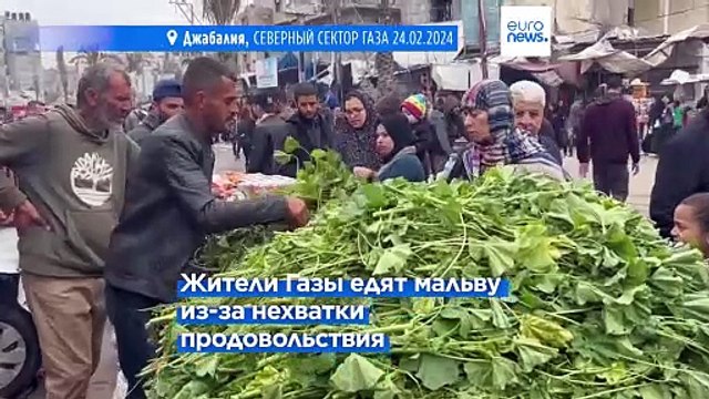 Жители сектора Газа едят сорняки, чтобы не умереть от голода