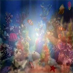 Dora The Explorer S05E13 The Big Red Chicken's Magic Show