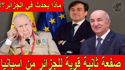 صفعة ثانية للجزائر من إسبانيا بعد إلغاء زيارة ألباريس