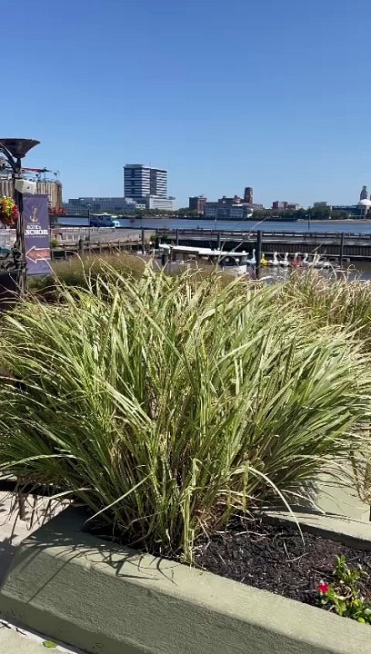 New York  نیویارک