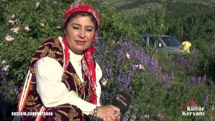 ÖRDEĞİME KAZ DİYORLAR- SULTAN BACI