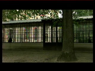 Une enfance volée: L'affaire Finaly | movie | 2008 | Official Trailer