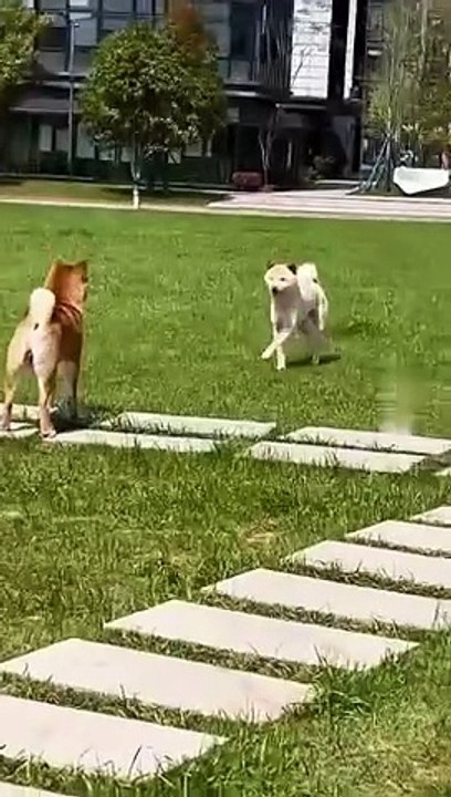 Dance off Part Deux!