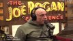 2100 - Cameron Hanes & Steven Rinella - The Joe Rogan Experience